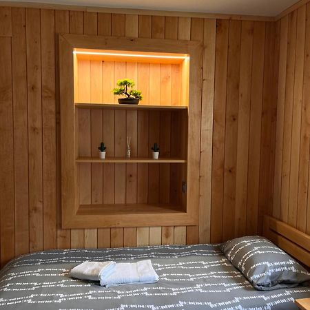 Zaga Apartma Beny With Sauna מראה חיצוני תמונה