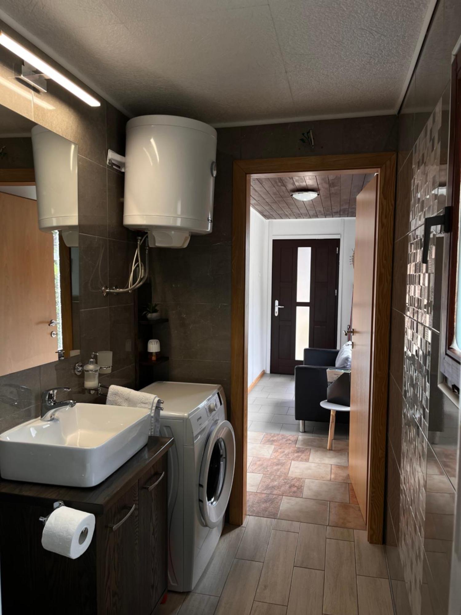 Zaga Apartma Beny With Sauna מראה חיצוני תמונה